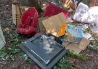 Zamiast niedzielnego obiadu - sprzątanie lasu i 1000 zł mandatu - zdjęcie główne