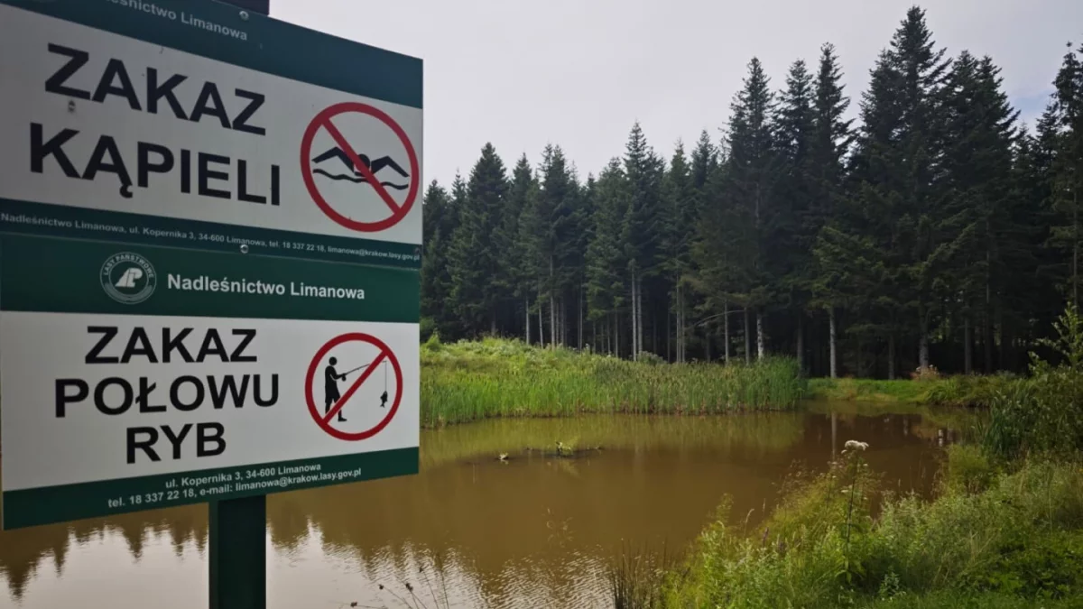Puszki po kukurydzy i nielegalne wędkowanie