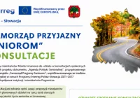 „Samorząd Przyjazny Seniorom” konsultacje - zdjęcie główne
