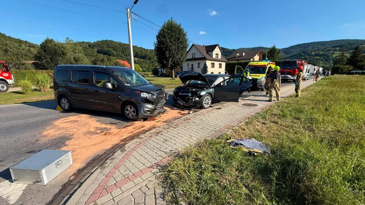 Czołowe zdarzenie w Laskowej - 9 osób w tym 5 dzieci 