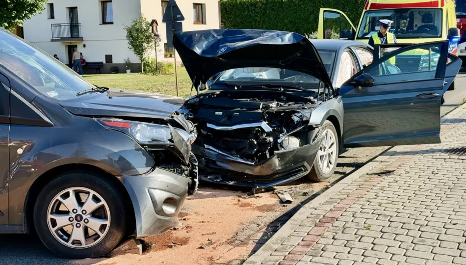 Wypadek w Laskowej: 9 osób poszkodowanych, w tym 5 dzieci - zdjęcie 1