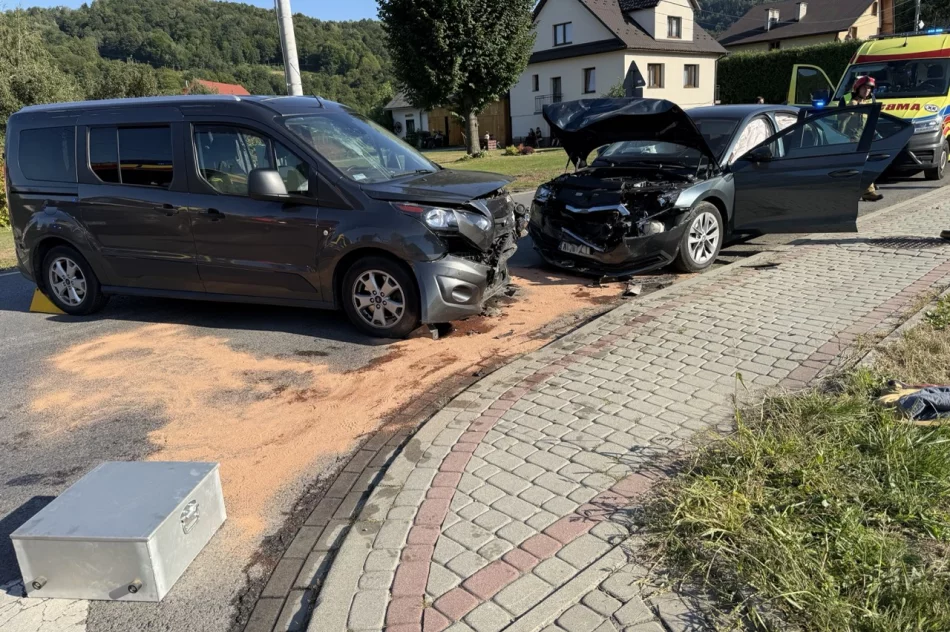 Wypadek w Laskowej: 9 osób poszkodowanych, w tym 5 dzieci - zdjęcie 2
