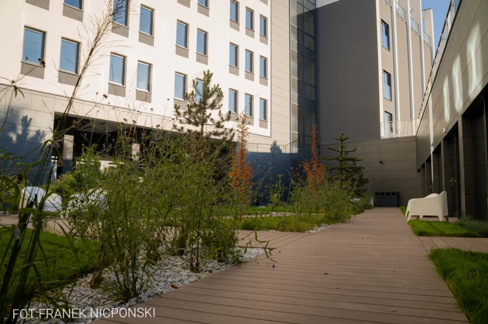 Studia stacjonarne w WSB-NLU - ucz się, działaj i rozwijaj swoją przyszłość - zdjęcie 17