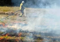 Strażacy gasili pożar traw - zdjęcie główne