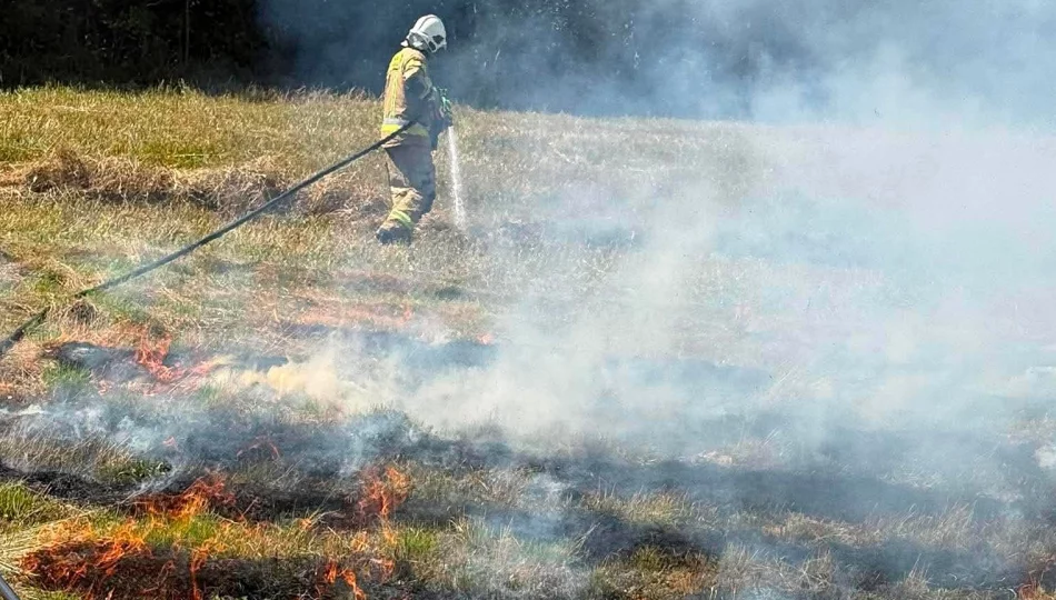 Strażacy gasili pożar traw - zdjęcie 1