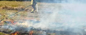 Strażacy gasili pożar traw - zdjęcie główne
