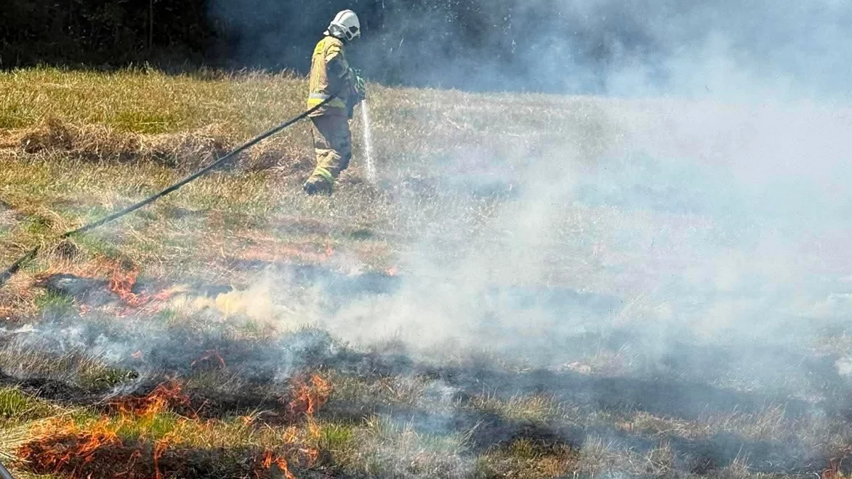 Strażak gaszący pożar suchej trawy w Podłopieniu