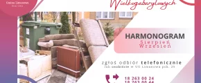 Drugi wywóz gabarytów. Bez zgłoszenia - odmowa odbioru - zdjęcie główne