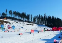 Mistrzostwa Polski Seniorów: Klaudia Kołodziej na 5 miejscu - zdjęcie główne