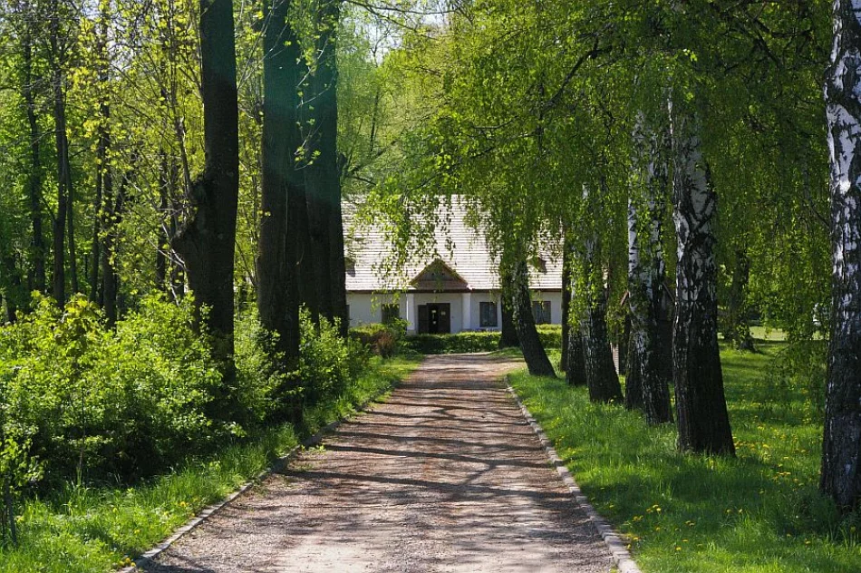 Świadek dawnych epok  - zdjęcie 2