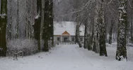 Świadek dawnych epok  - zdjęcie 4