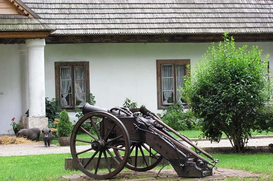 Świadek dawnych epok  - zdjęcie 5