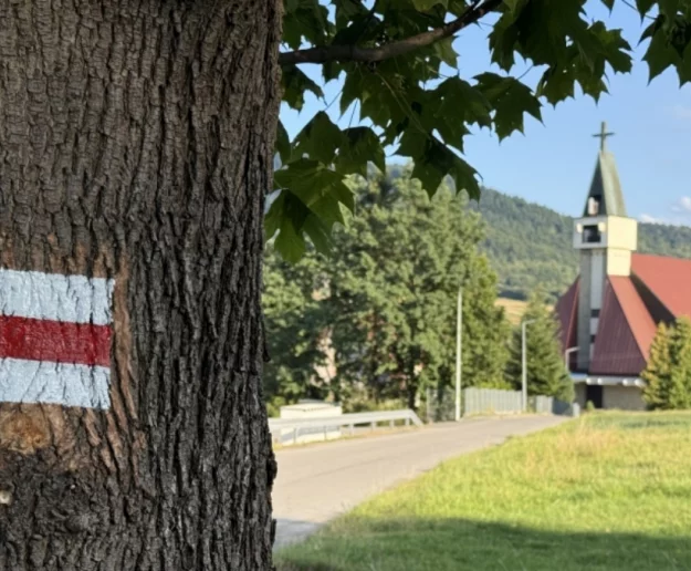 Zmiana przebiegu Małego Szlaku Beskidzkiego - zdjęcie główne