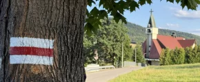 Zmiana przebiegu Małego Szlaku Beskidzkiego - zdjęcie główne