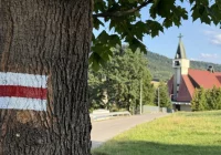 Zmiana przebiegu Małego Szlaku Beskidzkiego - zdjęcie główne