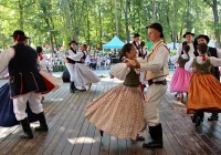 Pokazy, muzyka i lokalne smaki. XIII edycja festiwalu (ZDJĘCIA) - zdjęcie główne
