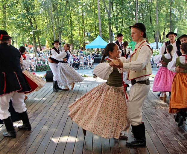 Pokazy, muzyka i lokalne smaki. XIII edycja festiwalu (ZDJĘCIA) - zdjęcie główne