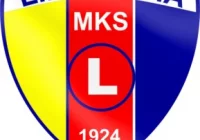 Mistrzowski turniej trampkarzy Limanovii - zdjęcie główne