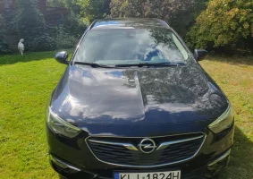 Opel Insignia 1.6 D 2019r.172 tys.km w świetnym stanie - Zdjęcie główne
