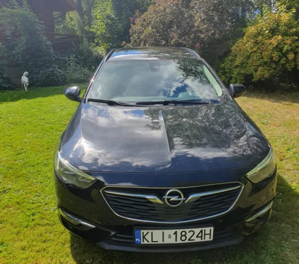 Opel Insignia 1.6 D 2019r.172 tys.km w świetnym stanie - Zdjęcie główne