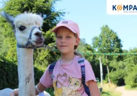 Wycieczki szkolne z BTA Kompas - wspólna przygoda poza szkolną ławką - zdjęcie główne