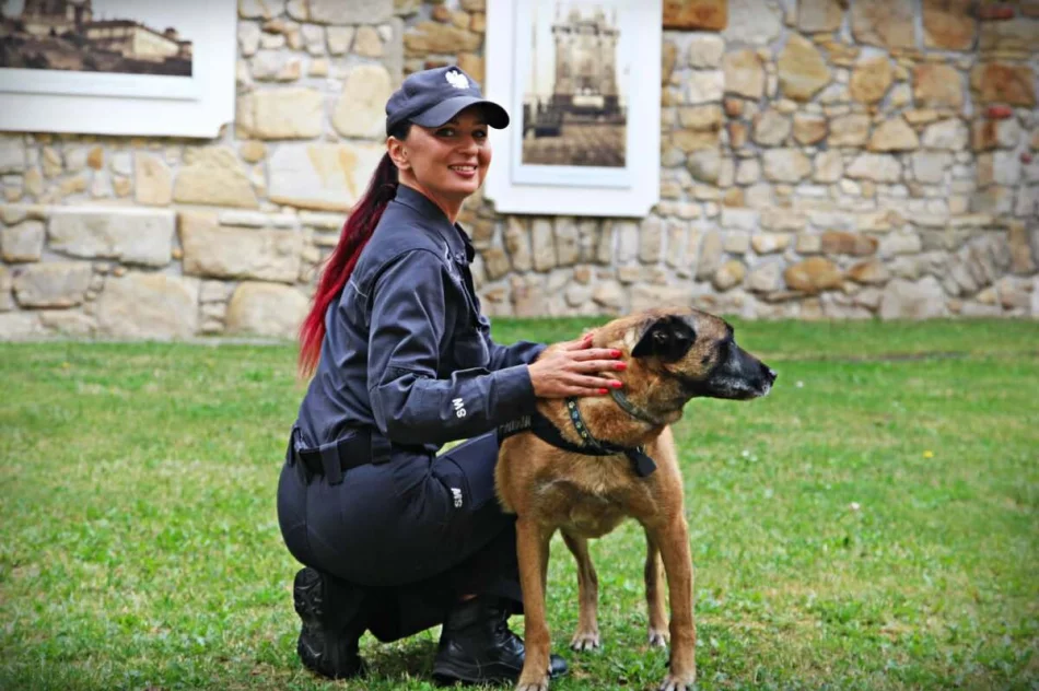 Szukali narkotyków - pies sprawdzał cele w zakładzie karnym - zdjęcie 7