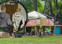 Wrócił popatrzeć na pożar, który sam wzniecił - zdjęcie główne