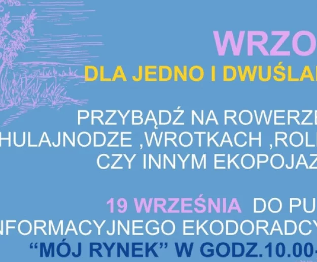 Europejski Tydzień Mobilności w Limanowej – wrzosy dla eko-mobilnych mieszkańców - Zdjęcie główne