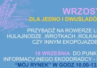 Europejski Tydzień Mobilności w Limanowej – wrzosy dla eko-mobilnych mieszkańców - zdjęcie główne