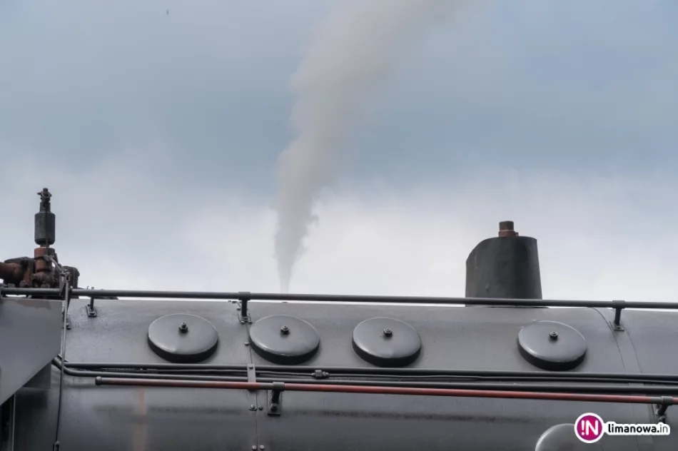 V Galicyjski Piknik Kolejowy w Dobrej. - zdjęcie 12