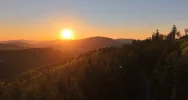 Latami wywozili drewno z gór (WIDEO) - zdjęcie 4