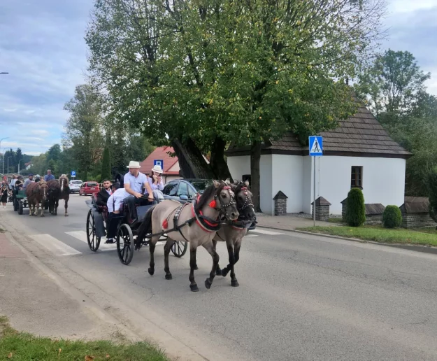 "Wiara ma romską twarz". 40. pielgrzymka Romów (ZDJĘCIA, WIDEO) - zdjęcie główne