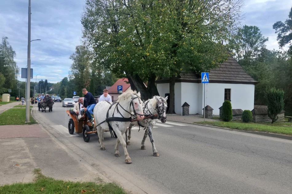 "Wiara ma romską twarz". 40. pielgrzymka Romów (ZDJĘCIA, WIDEO) - zdjęcie 3
