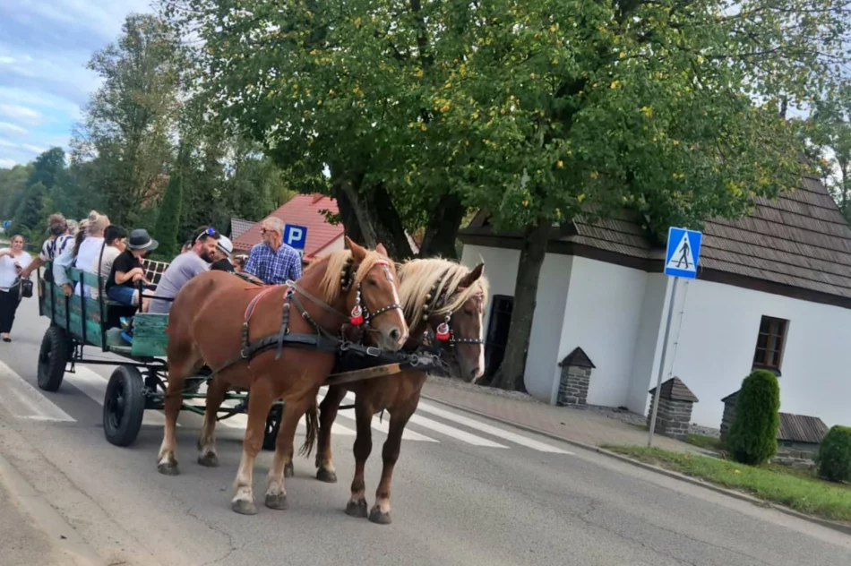 "Wiara ma romską twarz". 40. pielgrzymka Romów (ZDJĘCIA, WIDEO) - zdjęcie 5