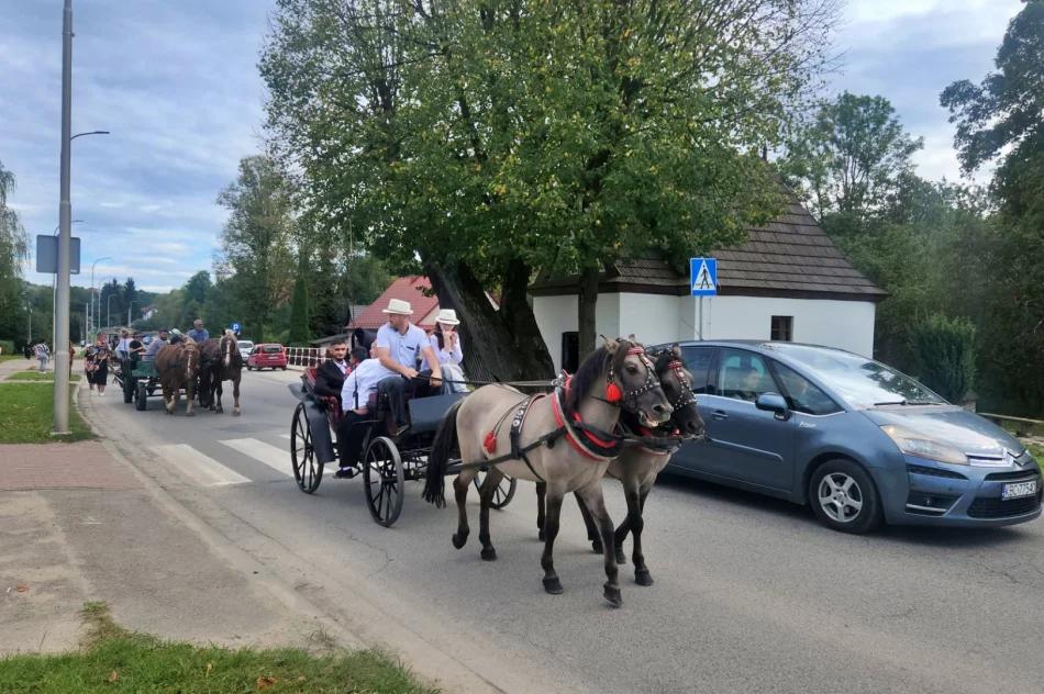 "Wiara ma romską twarz". 40. pielgrzymka Romów (ZDJĘCIA, WIDEO) - zdjęcie 6