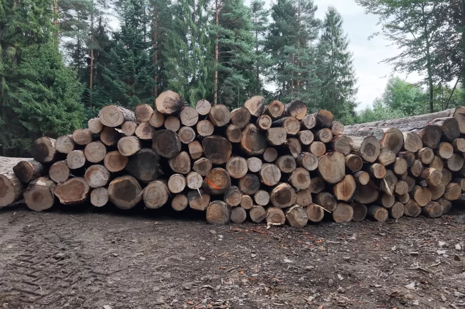 Przemysłowa rewolucja w Beskidzie Wyspowym - wkrótce premiera filmu (WIDEO) - zdjęcie 20