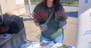 Wrzos za rower, hulajnogę lub spacer  - zdjęcie 4
