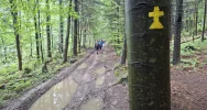 X Beskidzka pielgrzymka śladami Jana Pawła II - zdjęcie 4