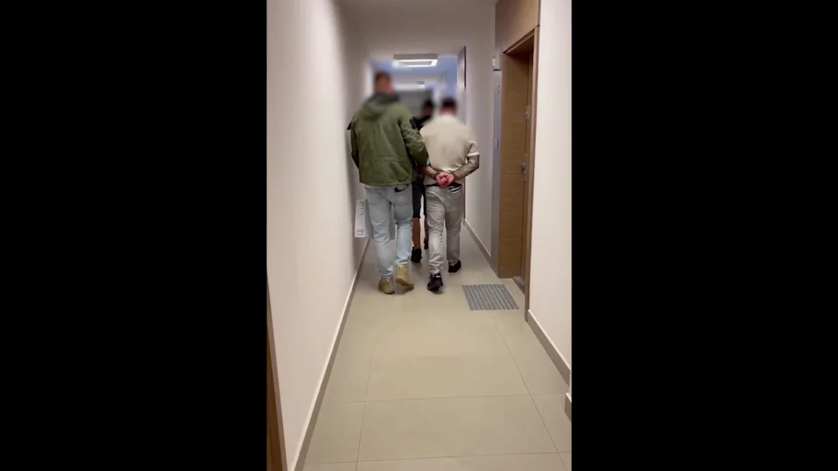 Spalili dowody w lesie. Prokuratura podała szczegóły zarzutów