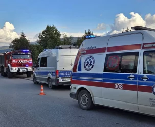 Wjechał w ogrodzenie i skrzynkę gazową. 72-latek w szpitalu - zdjęcie główne