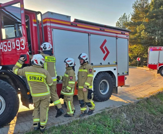 Poddasze w ogniu. Strażacy uratowali dach - zdjęcie główne