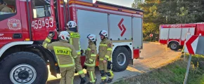 Poddasze w ogniu. Strażacy uratowali dach - zdjęcie główne