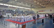 10 medali zawodników Limanowskiego Klubu Kyokushin Karate w Wilkowicach - zdjęcie 3
