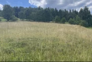 2 działki po 15 ar z wydanymi WZ po podziale geodezyjnym. - zdjęcie główne