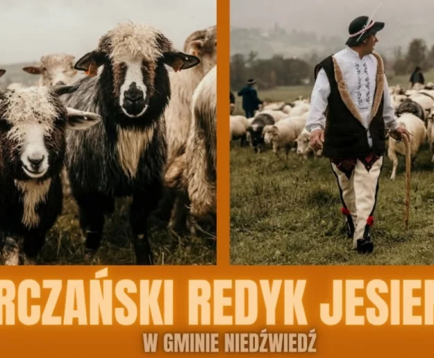 Zbliża się Gorczański Redyk Jesienny 2026 - zdjęcie główne