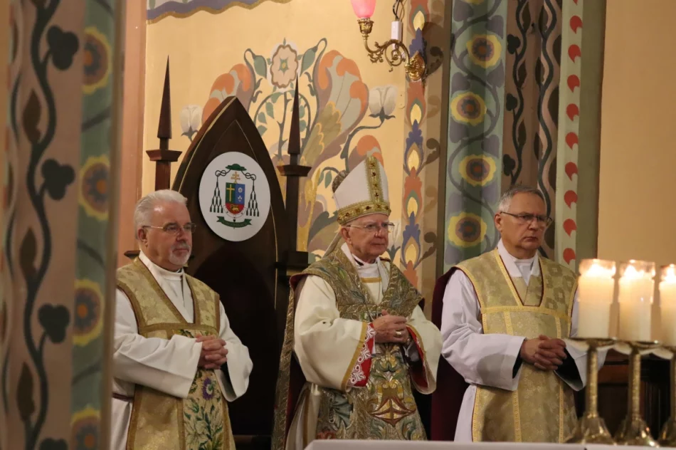 Abp Jędraszewski: "to nie jest małżeństwo". Ostre słowa na Limanowszczyźnie (ZDJĘCIA, WIDEO) - zdjęcie 44