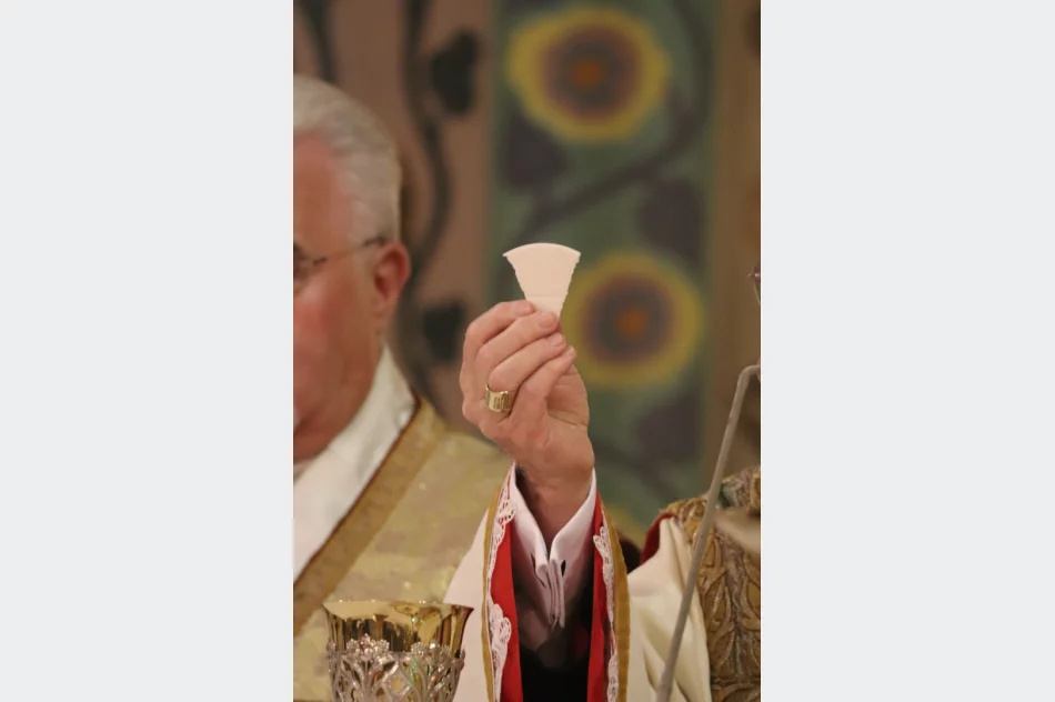 Abp Jędraszewski: "to nie jest małżeństwo". Ostre słowa na Limanowszczyźnie (ZDJĘCIA, WIDEO) - zdjęcie 50