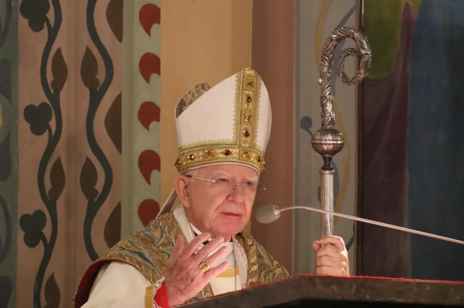 Abp Jędraszewski: "to nie jest małżeństwo". Ostre słowa na Limanowszczyźnie (ZDJĘCIA, WIDEO) - zdjęcie 59