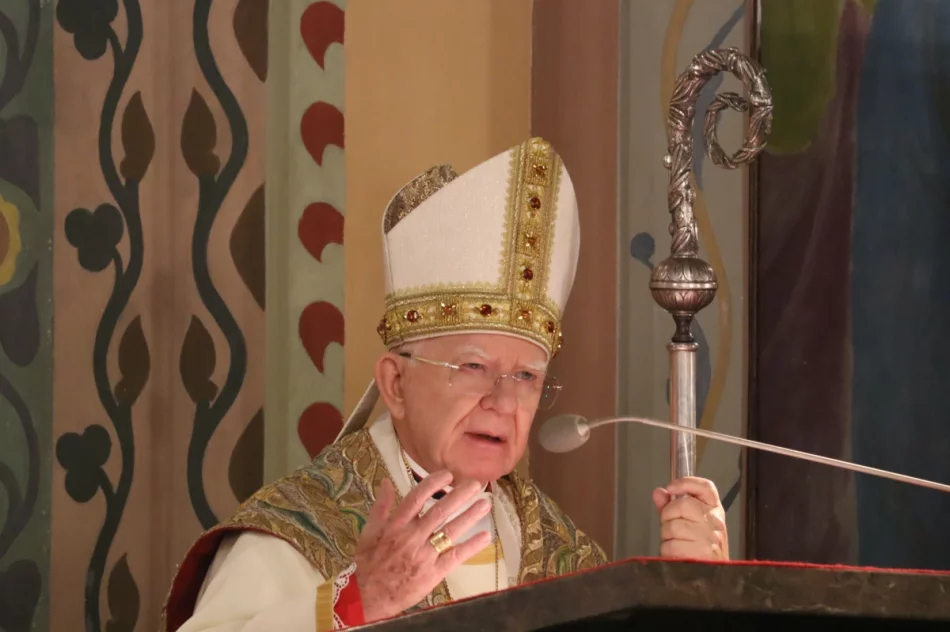 Abp Jędraszewski: "to nie jest małżeństwo". Ostre słowa na Limanowszczyźnie (ZDJĘCIA, WIDEO) - zdjęcie 151