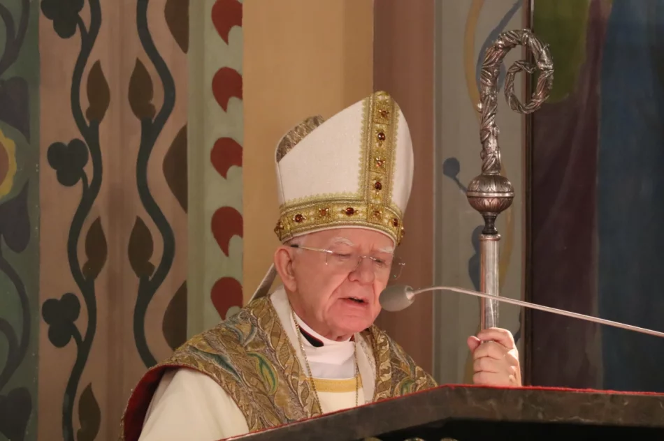 Abp Jędraszewski: "to nie jest małżeństwo". Ostre słowa na Limanowszczyźnie (ZDJĘCIA, WIDEO) - zdjęcie 152